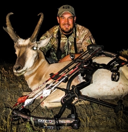 Pronghorn Antelope